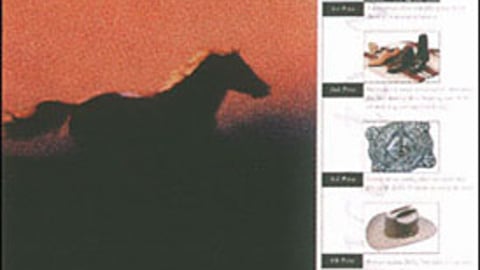 Ariat Horse Whisperer Poster