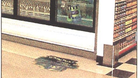 Dreyer's/Edy's Godzilla Inflatable