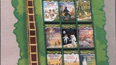 Children's Books Display