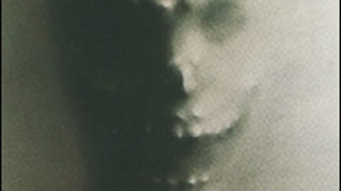 Frighteners Lenticular