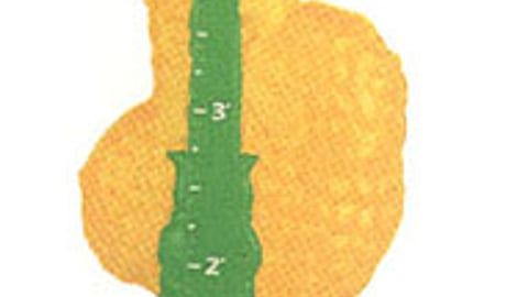 Kmart Talking Big Bird