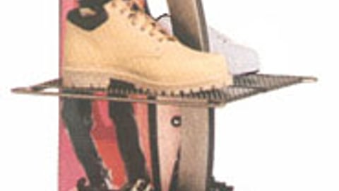 Skechers Wild Pair Floorstand