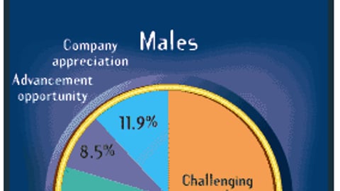 What's Most Important in Providing a Sense of Job Satisfaction?