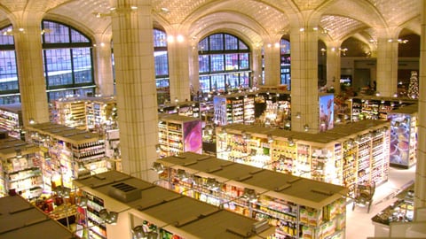 Food Emporium Interior Overview