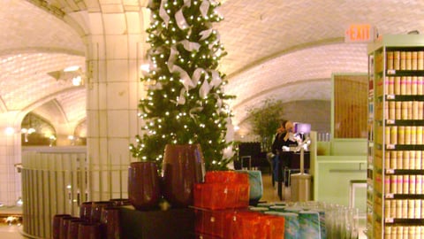 Food Emporium Seasonal Vignette