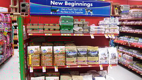 Petco 'New Beginnings' Endcap Header