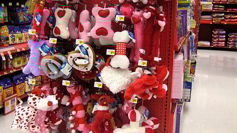 Petco Valentine's Day Endcap Header