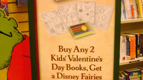 Barnes & Noble Disney Fairies Stanchion