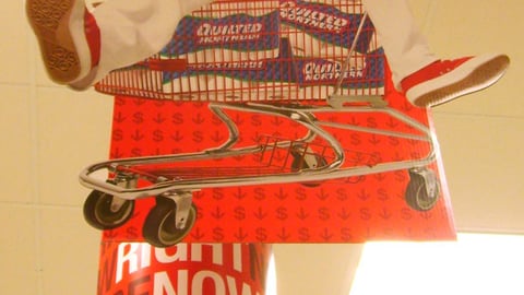 Target Quilted Northern Ceiling Hanger