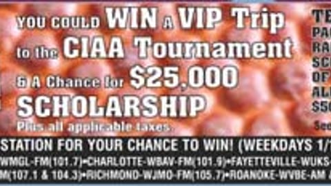 Food Lion/Coke Feature