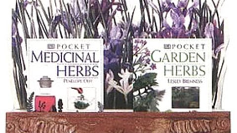 DK Garden Countertop