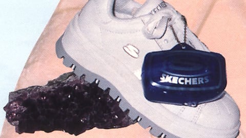 Skechers Shelf