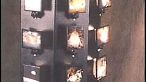 Illuminart Floorstand