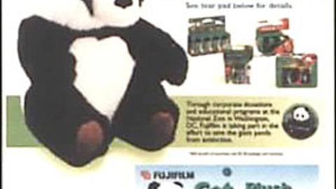 Fuji Panda Promotion Counter Card