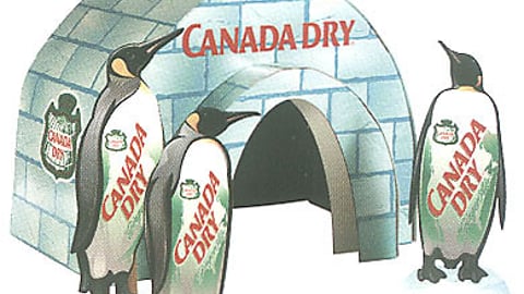 Canada Dry Display