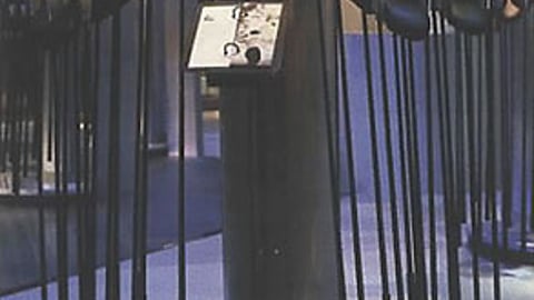 Nike Golf Club Cradle System