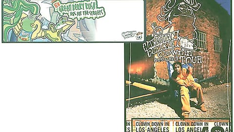 Hawaiian Punch Displays