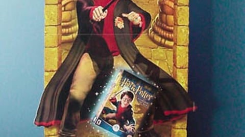 Electronic Arts Harry Potter Standee