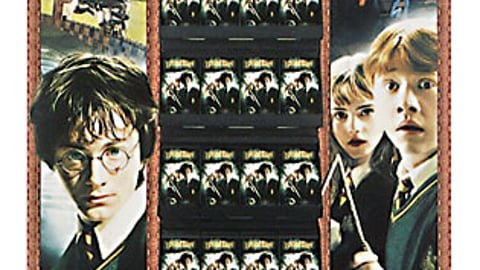 Harry Potter Chamber of Secrets Pallet