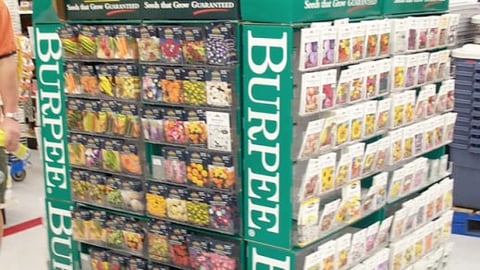 Burpee Seeds Pallet Display