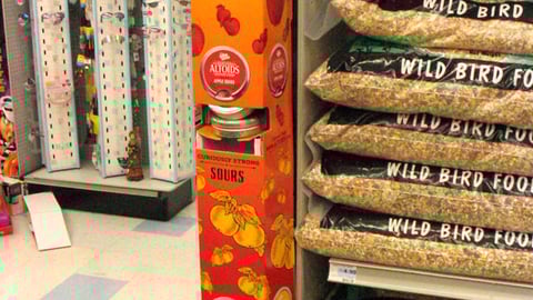 Altoids Sours Gravity-Feed Display