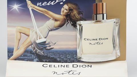 Celine Dion Notes Counter Display