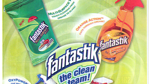 S.C. Johnson FSI Event