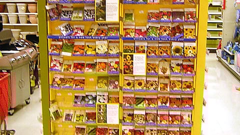 Burpee Seeds Target Endcap