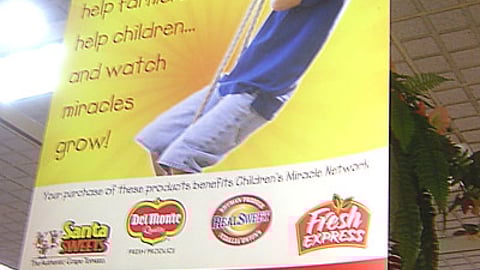 Publix Produce for Kids Ceiling Hanger