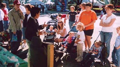 Pampers Koala 'Fit Stop' Event