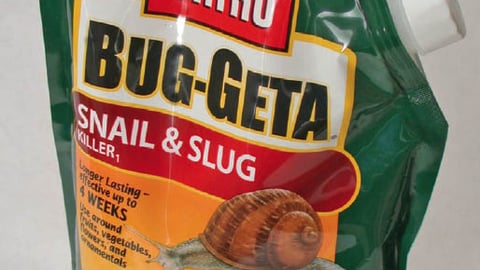 Ortho Bug-Geta Packaging