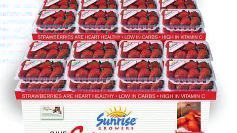 Sunrise Strawberries Sweeps Floorstand