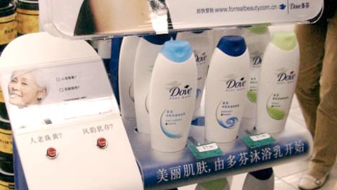 Dove Interactive Floorstand