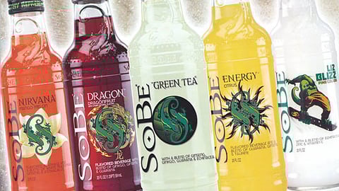 SoBe 2006 Sell Sheet