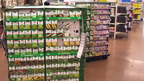 Vegetable Seeds Pallets