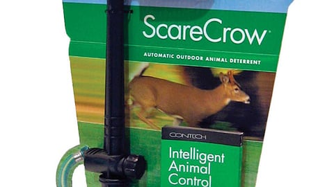 ScareCrow Animal Deterrent Countertop