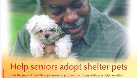 Purina Promotion FSI