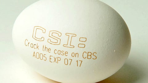 CSI 'Crack the Case' Egg Advertising