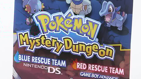 Pokemon Mystery Dungeon Standee
