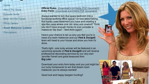 Big Lots/A&E Room Makeover Online Ad