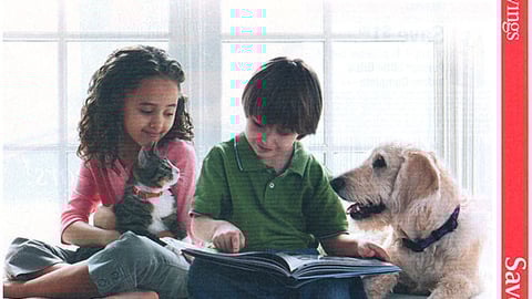 Purina Pet Adoption FSI