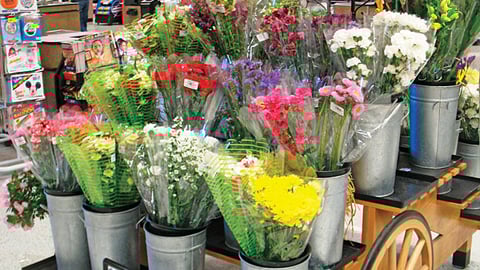 Albertsons Flower Cart