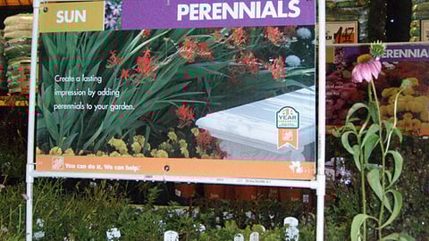 Home Depot Perennials Sign
