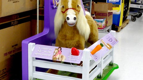 FurReal Friends Butterscotch Pony Display