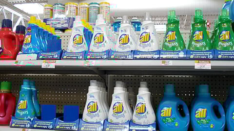 All Small & Mighty Shelf Organizer