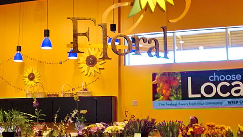 Wild Oats Floral Ceiling Mobile