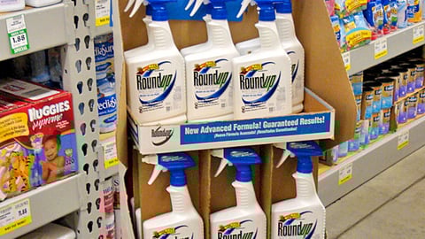 Roundup Advanced Lawn Formula Shipper