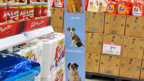 Kmart Champions Breed Pet Food Violator