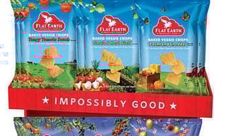 Flat Earth Floorstand