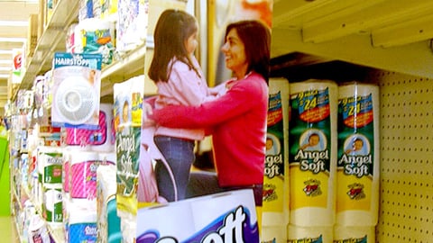 Scott Double Box Tops Violator